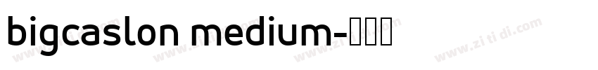 bigcaslon medium字体转换